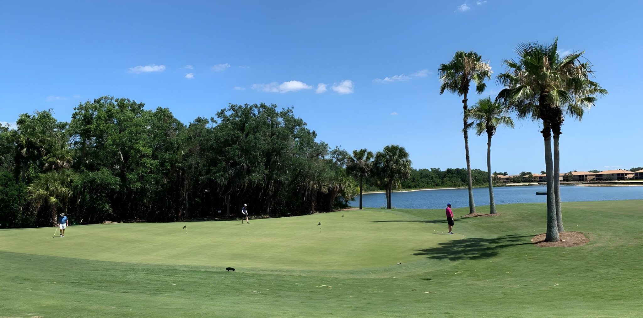 Golf, Tennis, Beautiful Environment All Year Long